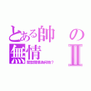 とある帥の無情Ⅱ（問世間情為何物？）