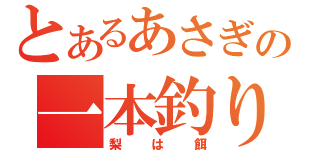 とあるあさぎの一本釣り（梨は餌）