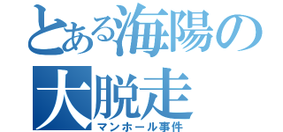 とある海陽の大脱走（マンホール事件）