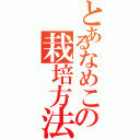 とあるなめこの栽培方法（）