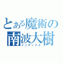 とある魔術の南波大樹（インデックス）