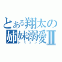 とある翔太の姉妹溺愛Ⅱ（シスコン）