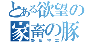 とある欲望の家畜の豚（野田将志）