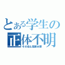 とある学生の正体不明（その名も風斬氷華）