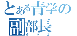 とある青学の副部長（タマゴ）