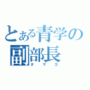 とある青学の副部長（タマゴ）