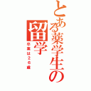 とある薬学生の留学（卒業は２６歳）