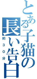 とある子猫の長い告白（約３０分）