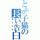 とある子猫の長い告白（約３０分）