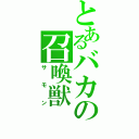 とあるバカの召喚獣（サモン）