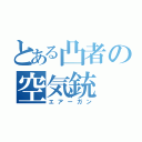 とある凸者の空気銃（エアーガン）