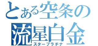 とある空条の流星白金（スタープラチナ）