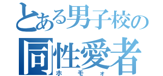 とある男子校の同性愛者（ホモォ）