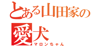 とある山田家の愛犬（マロンちゃん）