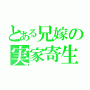 とある兄嫁の実家寄生（）