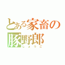 とある家畜の豚野郎（しょうご）