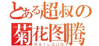 とある超叔の菊花图腾（ＲＡＩＬＧＵＮ）