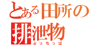 とある田所の排泄物（ぶっちっぱ）