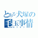 とある犬塚の毛玉事情（モフモフ）