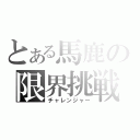 とある馬鹿の限界挑戦（チャレンジャー）