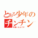 とある少年のチンチン（可愛いもんです）