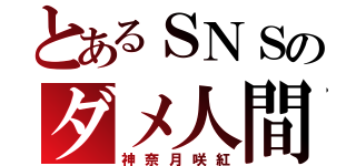 とあるＳＮＳのダメ人間（神奈月咲紅）