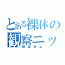 とある裸体の観察ニッカ（閲覧禁止）