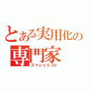 とある実用化の専門家（スペシャリスト）