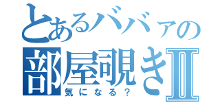 とあるババァの部屋覗きⅡ（気になる？）