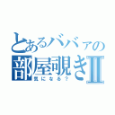 とあるババァの部屋覗きⅡ（気になる？）