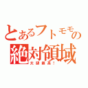 とあるフトモモの絶対領域（太腿最高！）