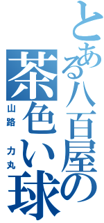 とある八百屋の茶色い球体（山路 力丸）