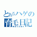 とあるハゲの育毛日記（無駄な足掻き）