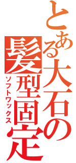 とある大石の髪型固定（ソフトワックス）