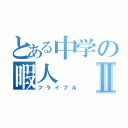 とある中学の暇人Ⅱ（フライブル）