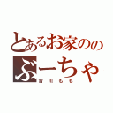 とあるお家ののぶーちゃん（吉川もも）