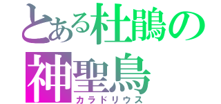 とある杜鵑の神聖鳥　糞を飲めば不老長寿になるなとど信仰されている。（カラドリウス）