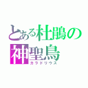 とある杜鵑の神聖鳥　糞を飲めば不老長寿になるなとど信仰されている。（カラドリウス）