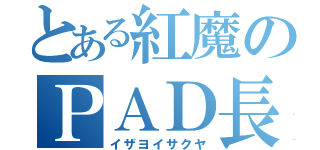 とある紅魔のＰＡＤ長（イザヨイサクヤ）