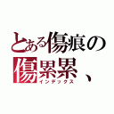 とある傷痕の傷累累、（インデックス）