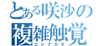 とある咲沙の複雑触覚（エシナカセ）