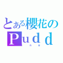 とある櫻花のＰｕｄｄ（ｉｎｇ）