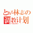 とある林志の调教计划（不要这样啊＞ ＜）