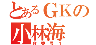 とあるＧＫの小林海（背番号１）