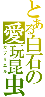 とある白石の愛玩昆虫（カブリエル）