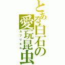 とある白石の愛玩昆虫（カブリエル）