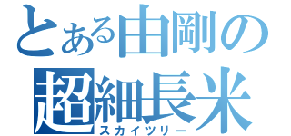 とある由剛の超細長米（スカイツリー）