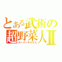 とある武術の超野菜人Ⅱ（スーパーサイヤ人）