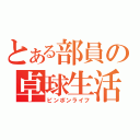 とある部員の卓球生活（ピンポンライフ）