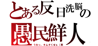 とある反日洗脳の愚民鮮人（うわっ、キムチくせぇ（笑）